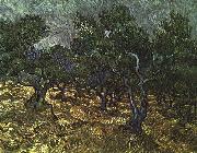 Vincent Van Gogh The Olive Grove oil painting reproduction